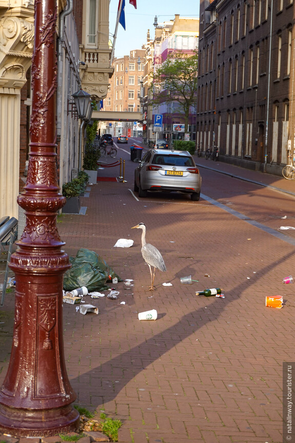Утром рано на улице Амстердама