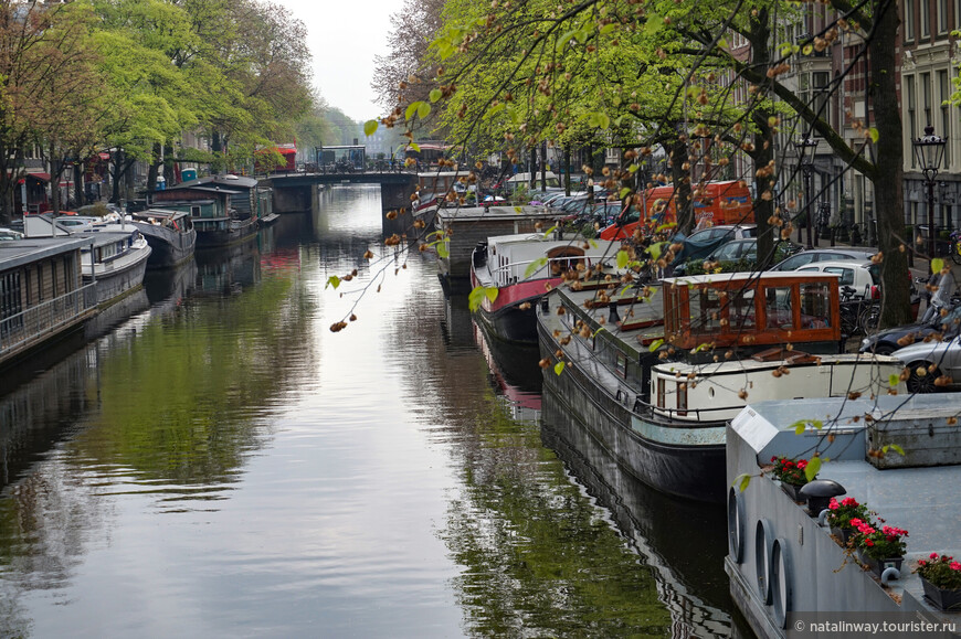 Плавучие дома — обычные жилища. В Амстердаме числится около двух тысяч почтовых адресов на воде.

