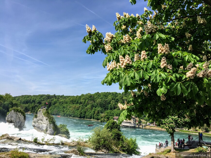 Рейнский водопад. Не путать с Рейхенбахским