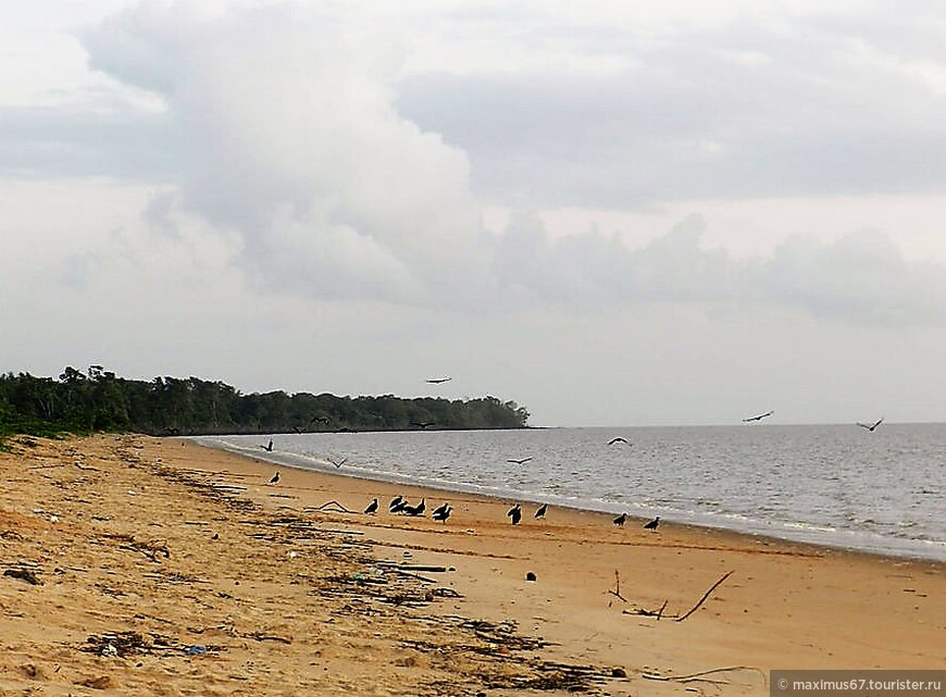 Провинция Маровийн — удивительный уголок Суринама