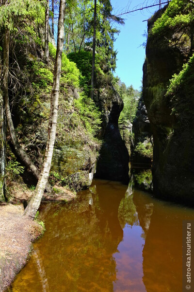 Речка Метуйе с коричнево-ржавой водой от минералов.