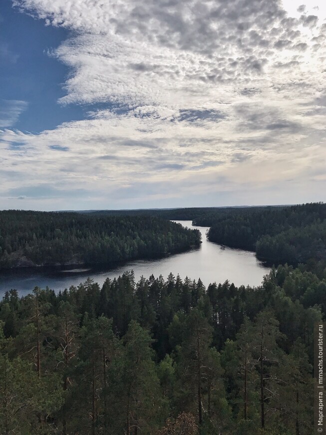 Куда поехать в Финляндию? Национальный парк Реповеси