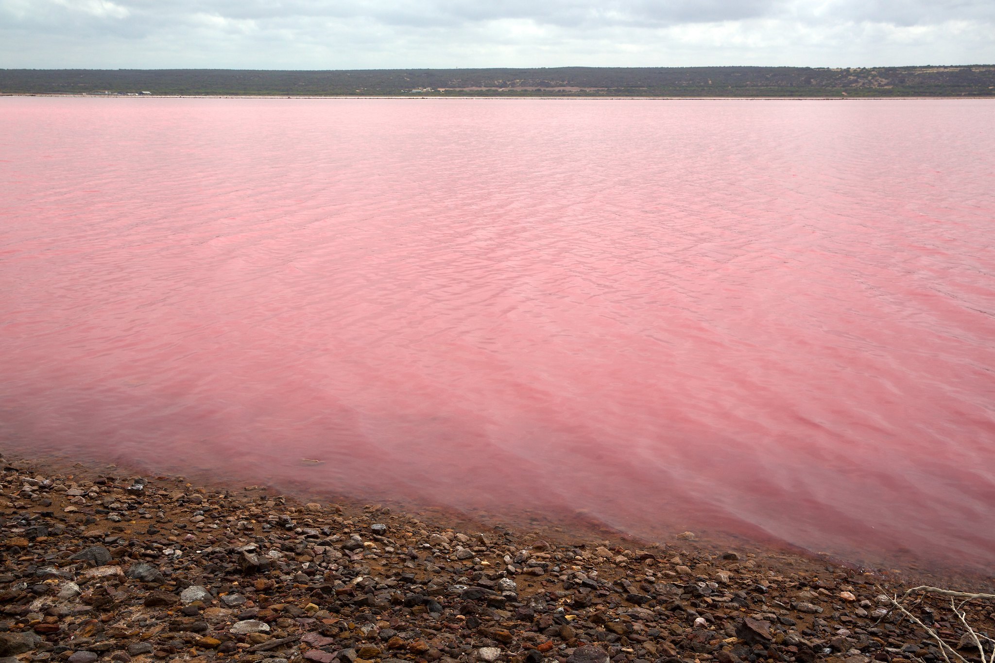 Озеро Хиллиер: тайна розового озера в Австралии