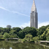 Shinjuku Gyoen — национальный парк с потрясающими японскими и французскими садами