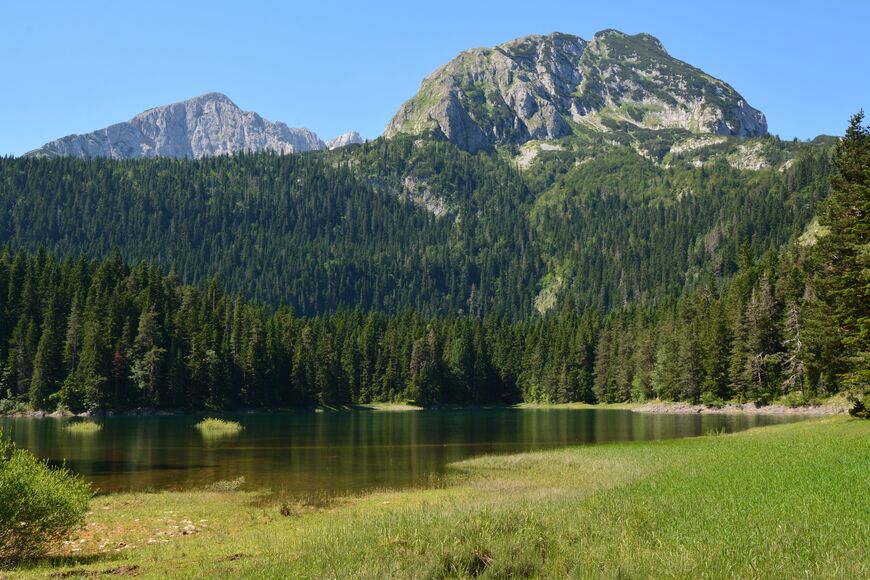Черное озеро в Черногории (Црно-Езеро)