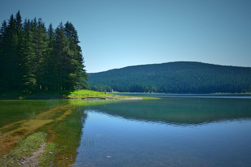 Черное озеро в Черногории (Црно-Езеро)