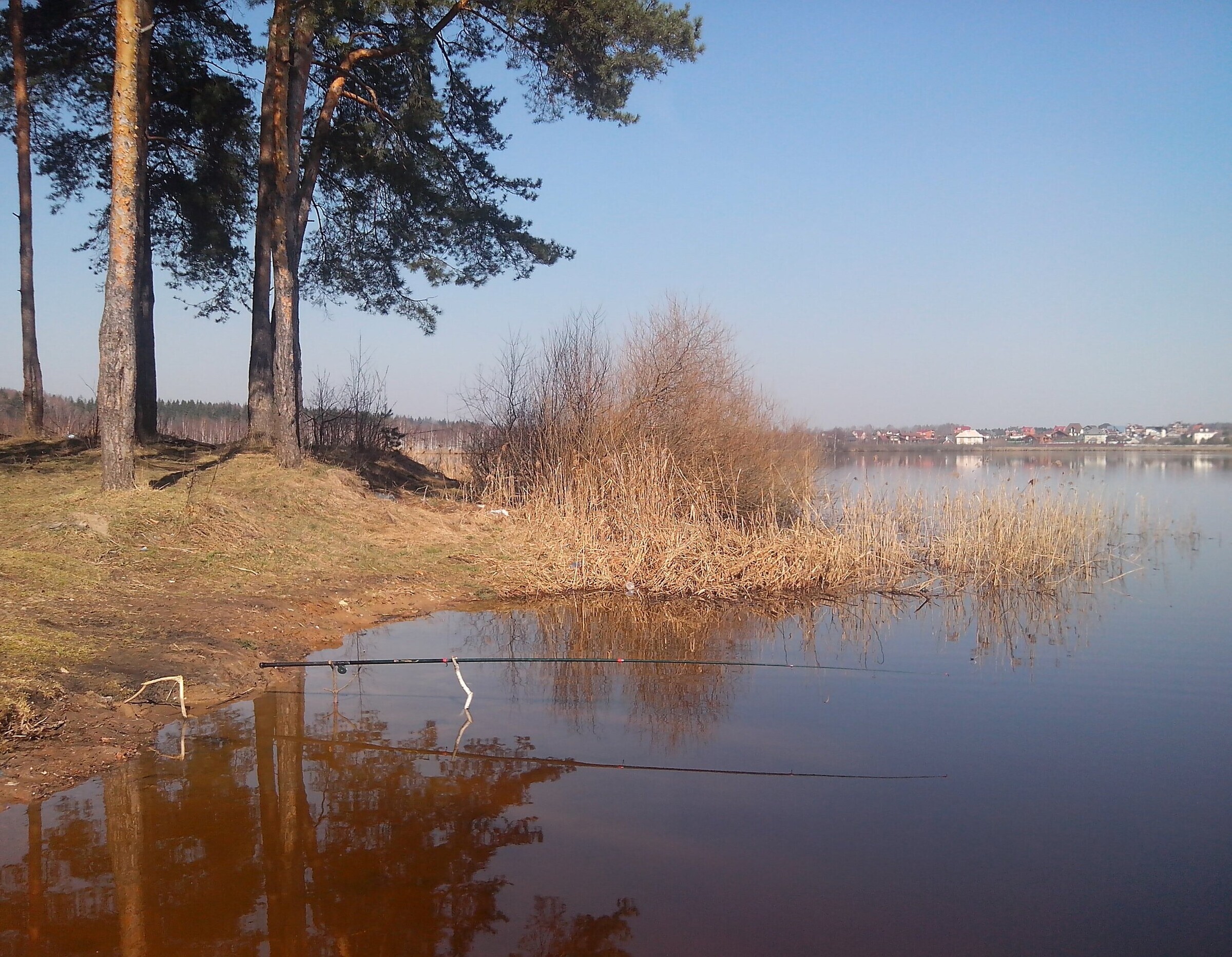 платное озеро для рыбалки в московской области