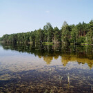 Озеро Святое в Ивановской области
