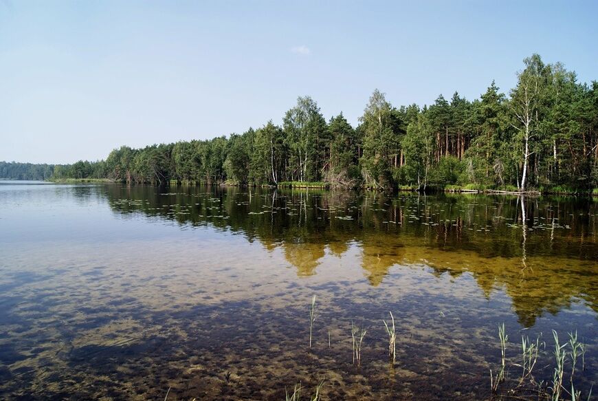 Озеро Святое в Ивановской области