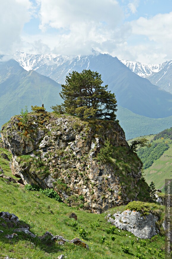 Одно из самых фотографируемых мест в Ингушетии