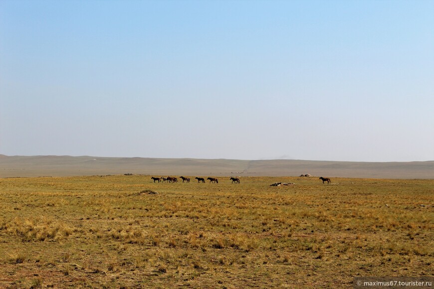 Восточная Монголия. Ч - 1. Степь да степь кругом. Гора Бор Толгой