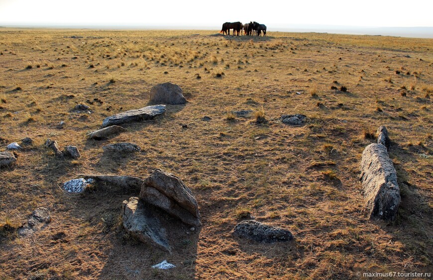 Восточная Монголия. Ч - 1. Степь да степь кругом. Гора Бор Толгой