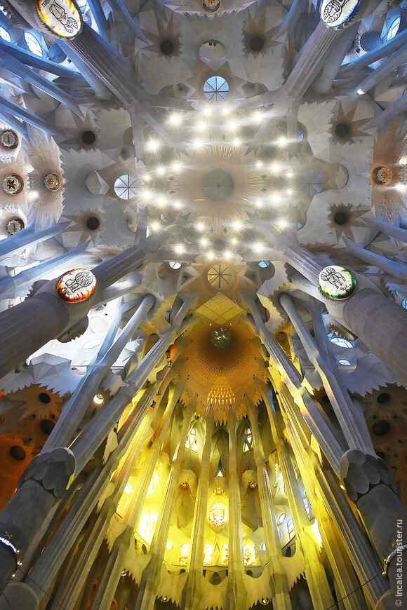 Потолок храма Святого Семейства (Саграда Фамилия). Барселона. Антонио Гауди.