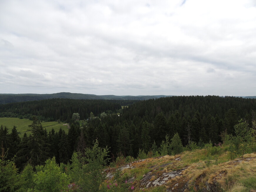 Вид со скалы на простирающиеся вдаль леса. 