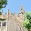 Кафедральный Собор в Севилье с официальным гидом Мариной Дергуновой 
