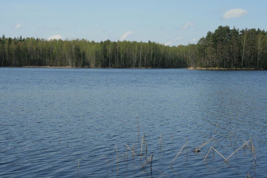 Озеро Городно