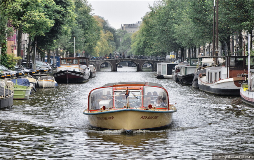 По Амстердаму — с селёдкой и сыром, но без кофешопов