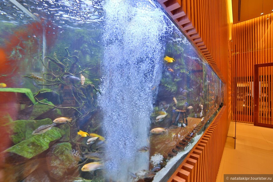 Невероятной величины аквариум 