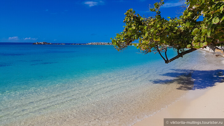 Где лучше отдыхать на Ямайке? Какой курорт?
