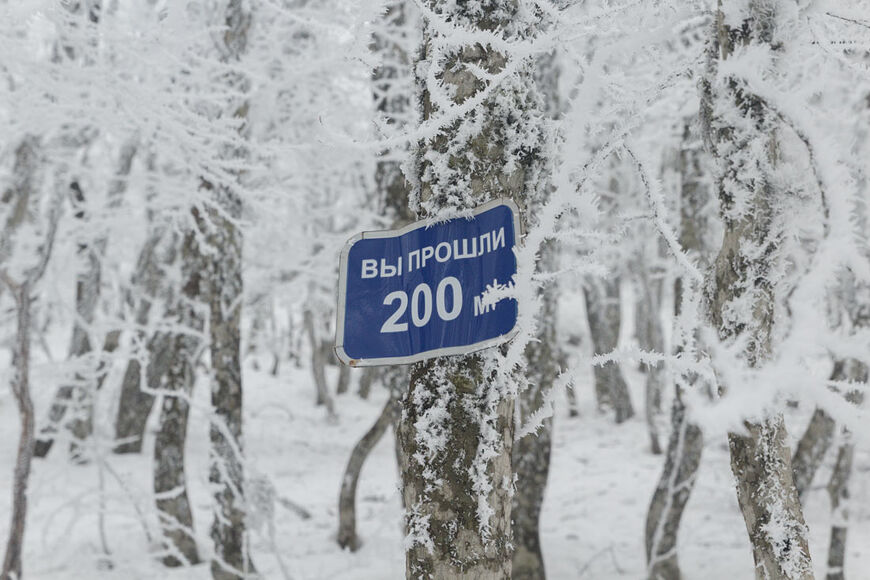 Кореизская тропа в Крыму (Мисхорская тропа)