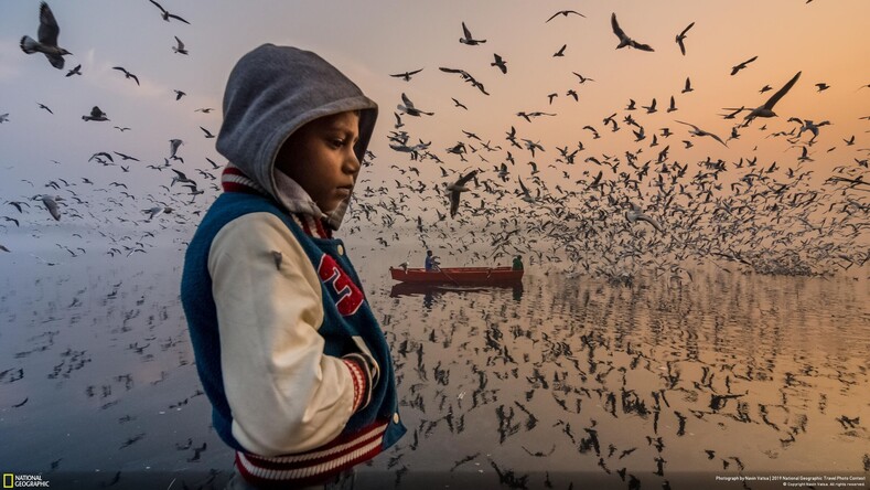 Мир в объективе лучших фотографов: конкурсные фото 2019 года от National Geographic