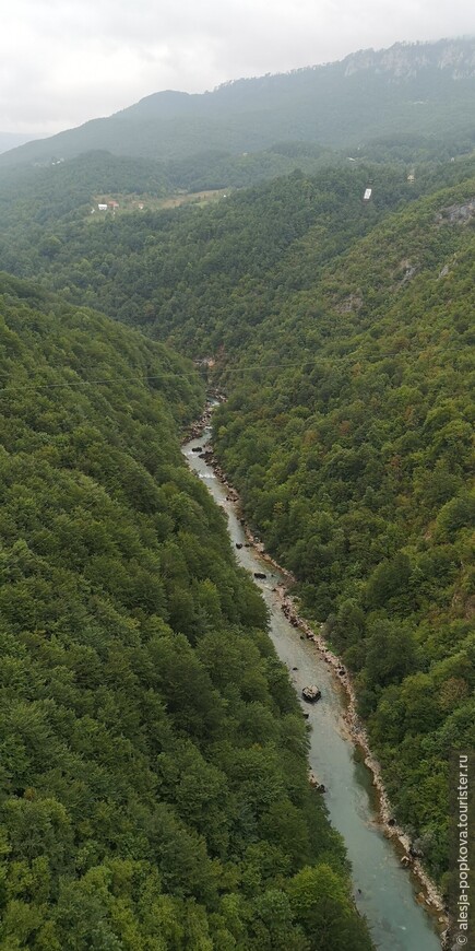 Каньон реки Тара