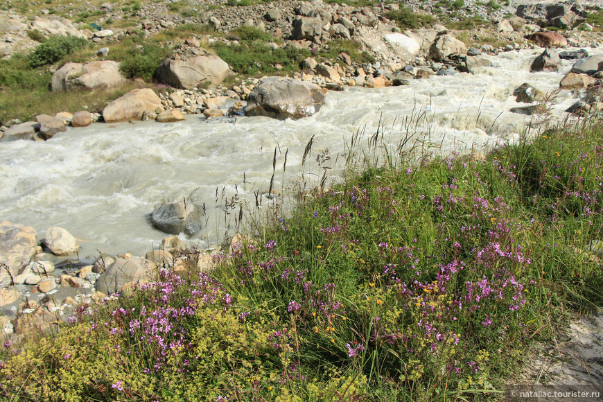 Безенги: ущелье реки Думала, экотропа и красное платье