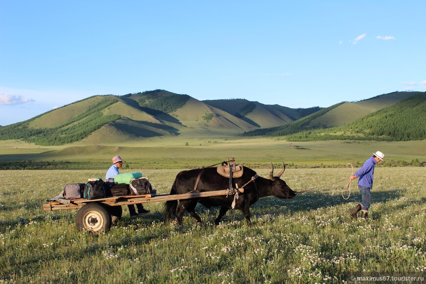 Восточная Монголия. Ч - 6. О Монголии и о монголах
