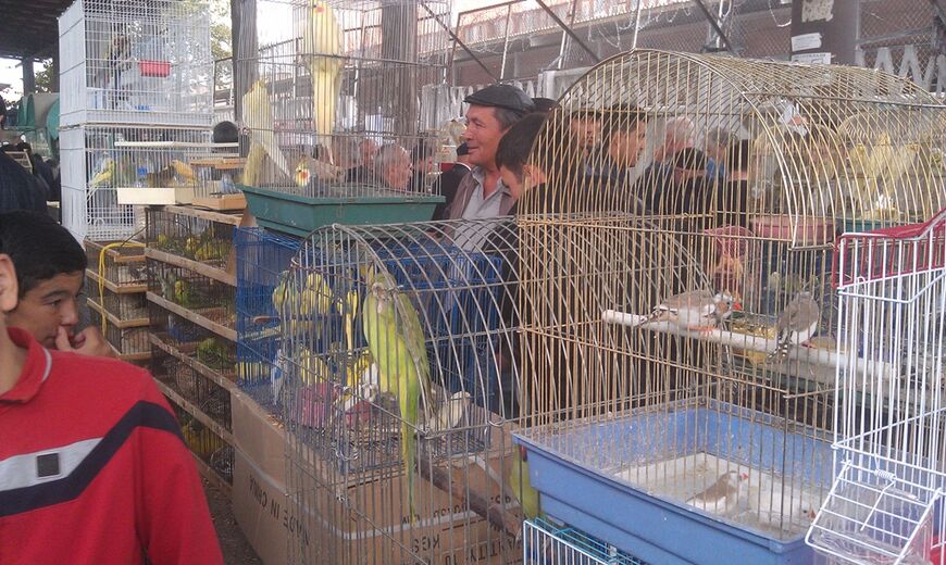 Птичий рынок