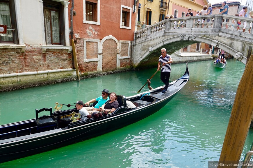 В Венеции около 300 гондол, обслуживающих туристов. Длина лодки составляет 11,05 метров, ширина 140 сантиметров, дно плоское без киля. Вес пустой гондолы составляет около 400 кг. Гондола имеет асимметричную форму. Корпус лодки имеет закруглённую форму, нос и корма подняты вверх, чтобы максимально уменьшить площадь контакта с водой, и задать гребцу ориентиры направления движения.