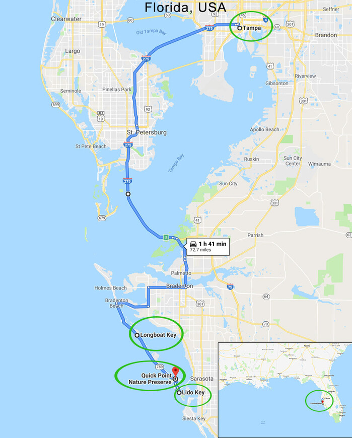 Западная Флорида и Дисней. Часть 1