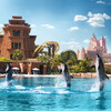 Дубайский дельфинарий. отель Атлантис