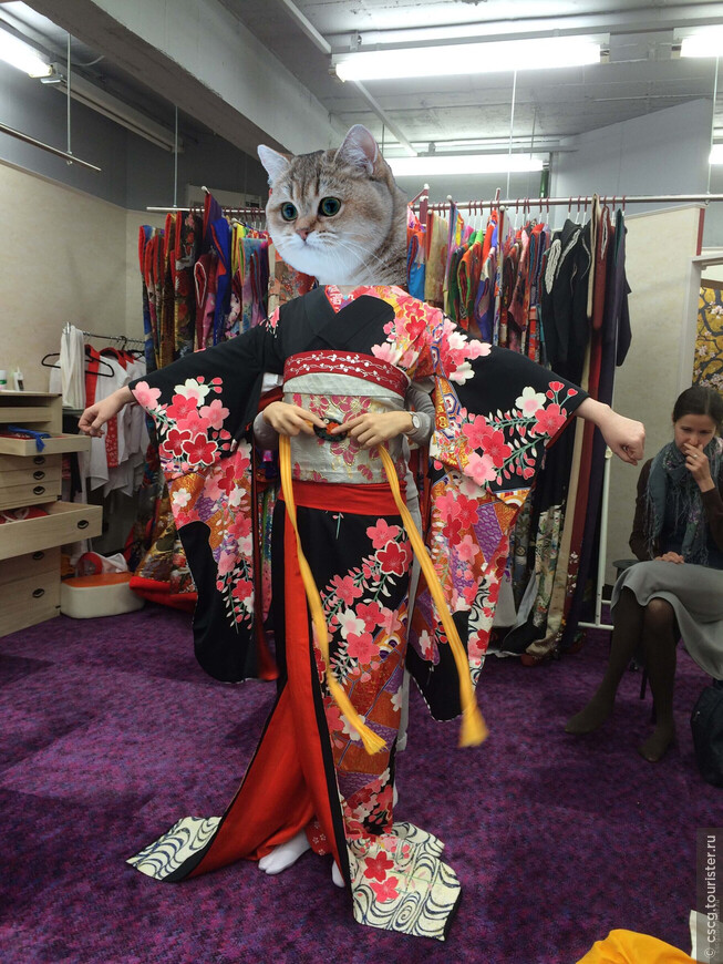 2-ой день в Японии. Фотосессия в кимоно, сакура и театр кабуки
