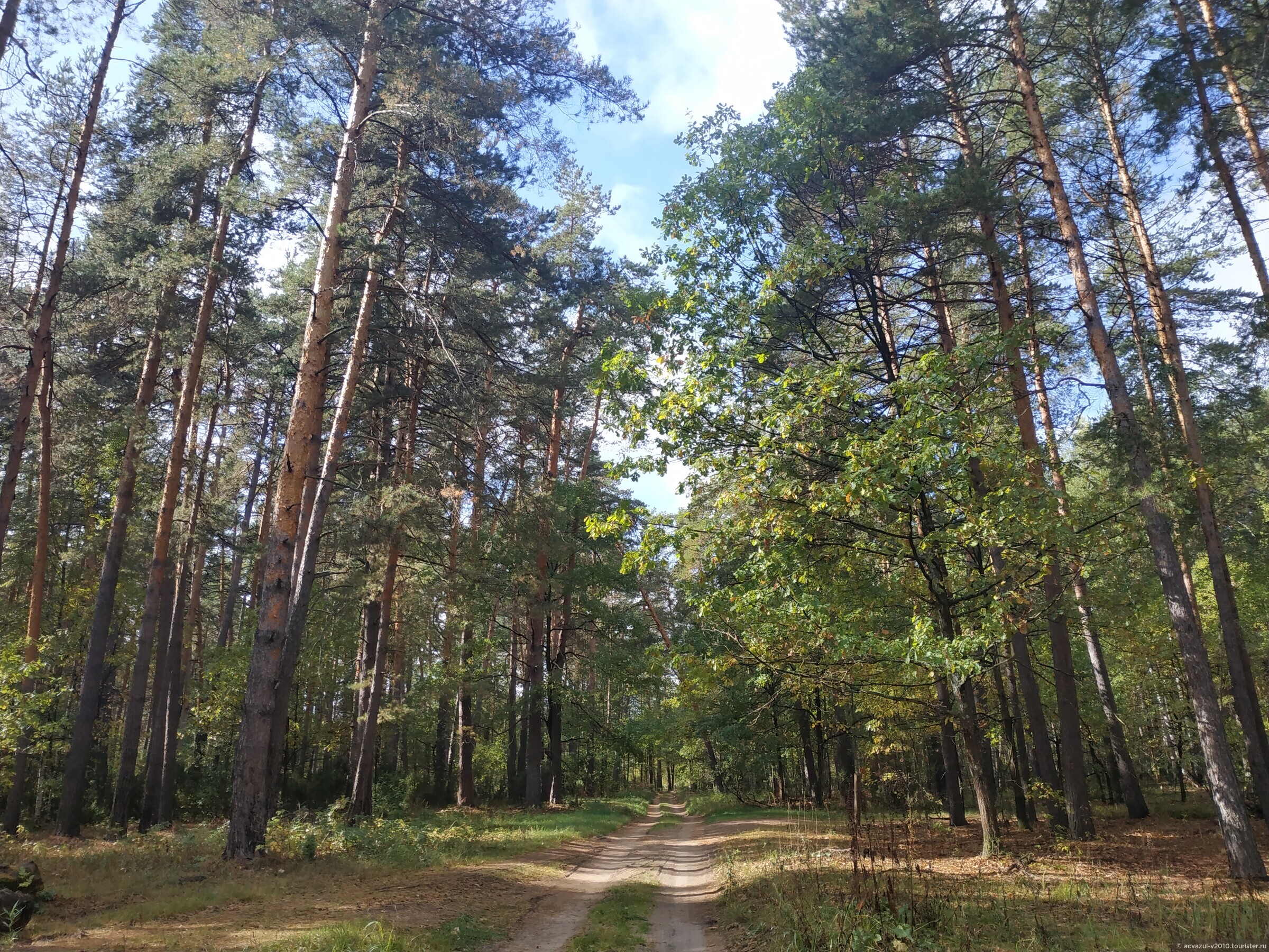 Тропа паустовского схема