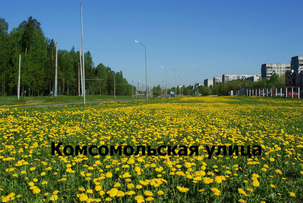 2 регион авто новополоцк