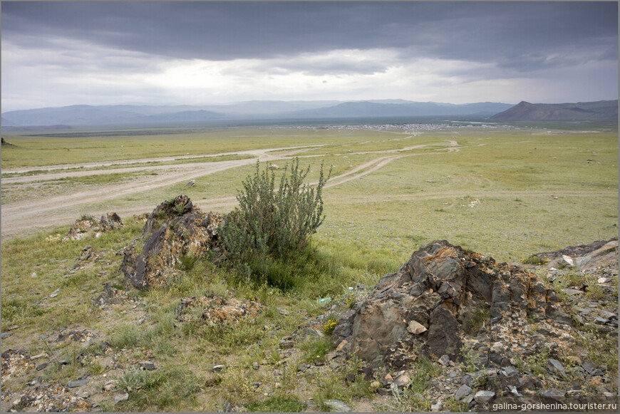 В поисках утраченного времени. Часть 3. Монголия встретила запахом полыни