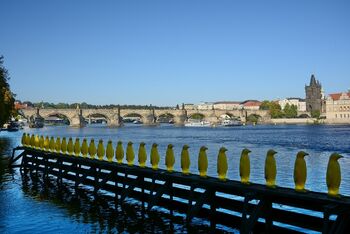 34 жёлтых пингвина