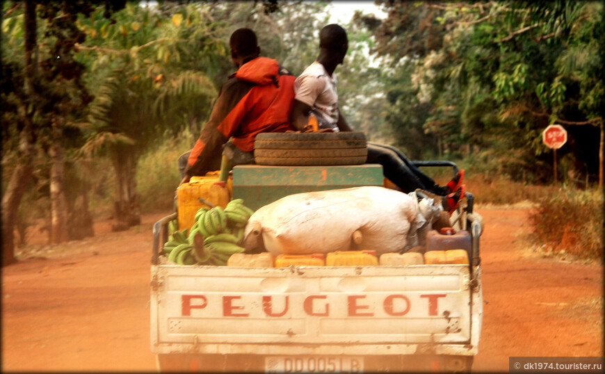 Бака — пигмеи Центральной Африки