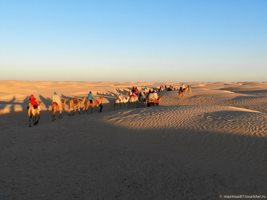 Экскурсия в Сахару. Ч - 4. Катание на  верблюдах. Солёное озеро Шотт-эль-Джерид