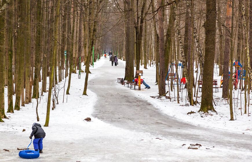 Тимирязевский парк в Москве