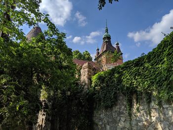 Замок Вайдахуняд, июнь