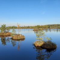 Можно сказать что Ельня - самый большой архипелаг Беларуси. Сотни таких маленьких островков можно встретить на ельнянских озерах