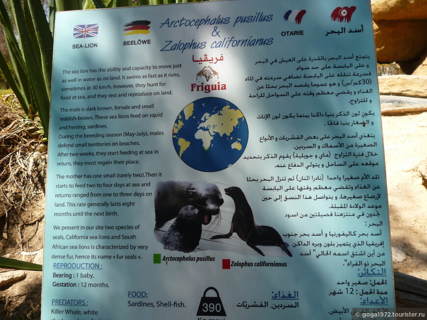 В мире животных или прогулка в зоопарк Фригия. Тунис, Хаммамет