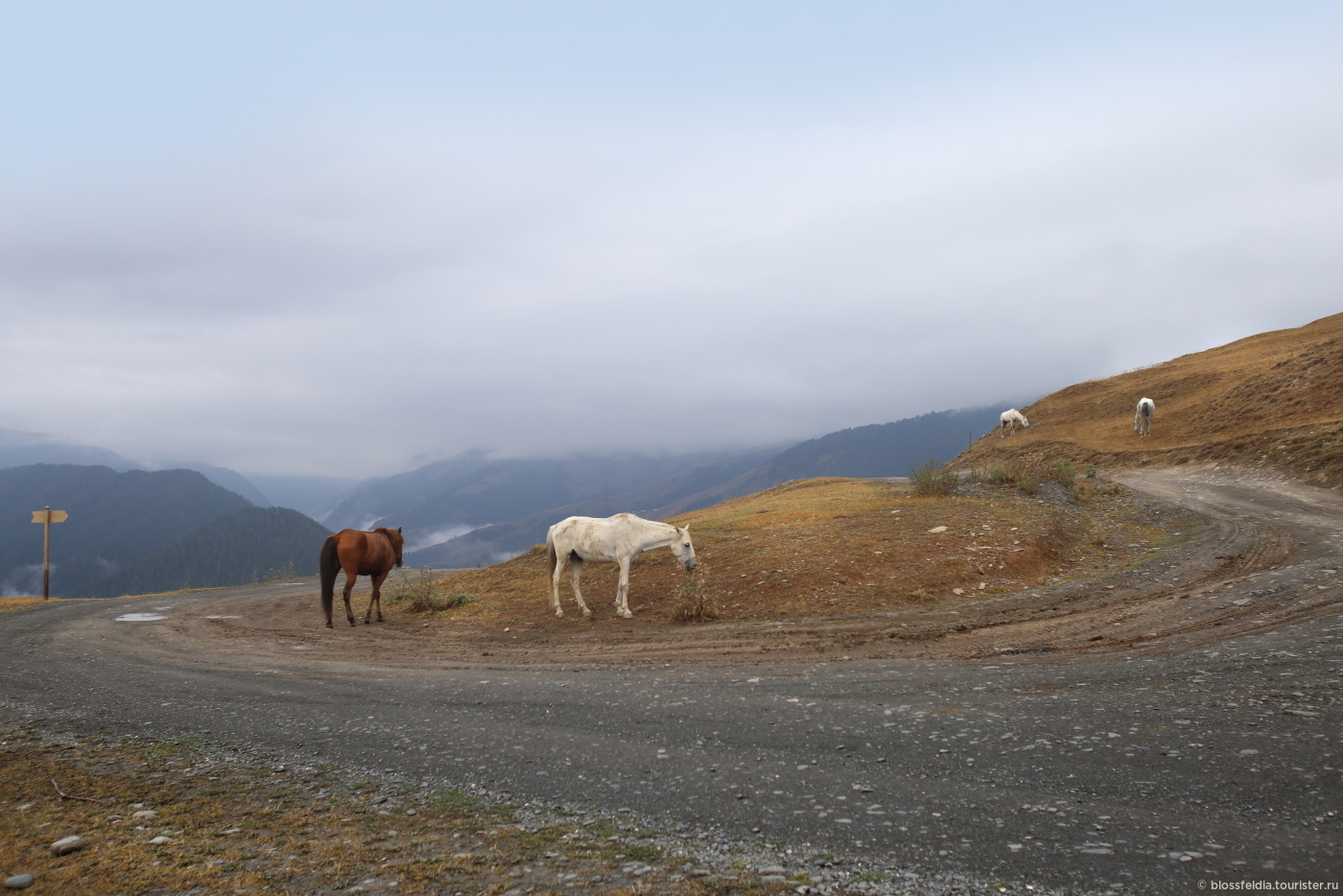 Второе путешествие в Тушети, переход через перевал Ацунта в Хевсурети .