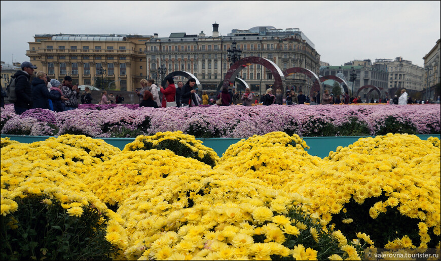 Московские огни