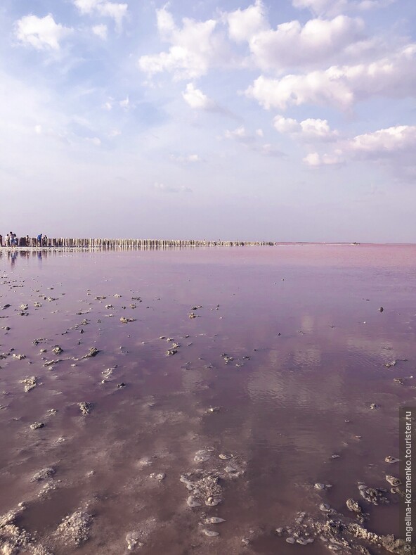 Поездка на Тарханкут и розовое озеро