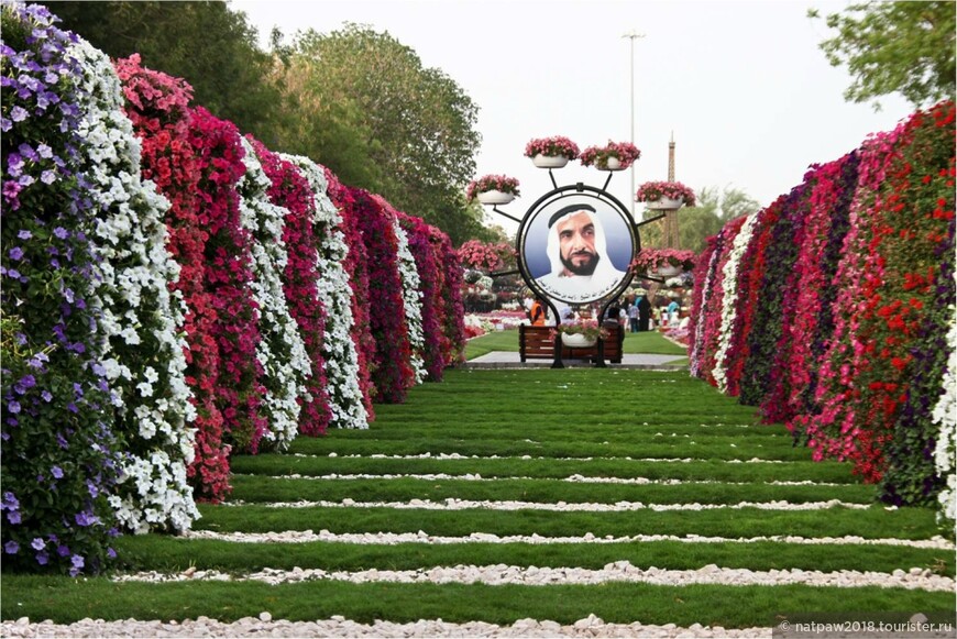 Парк цветов в Аль-Айне