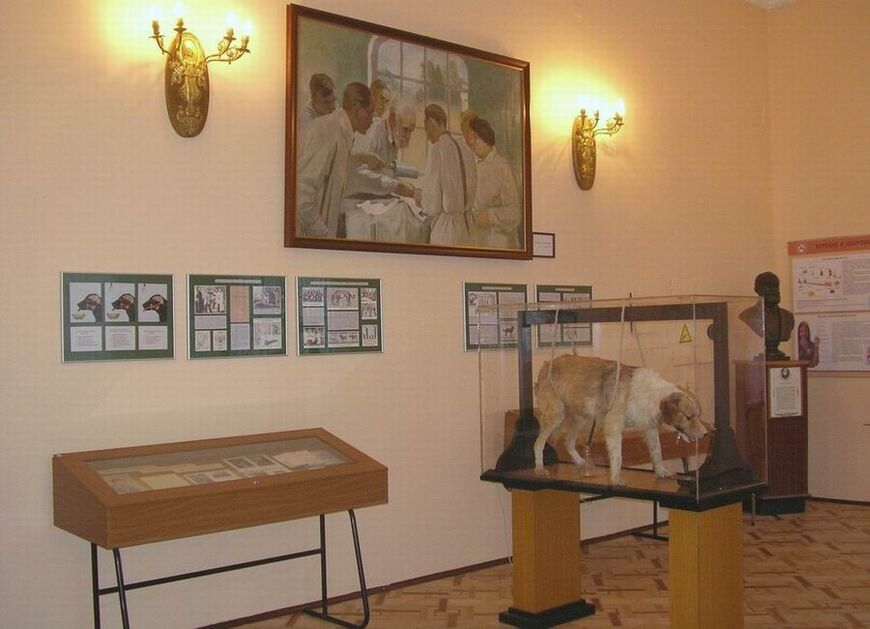Музей гигиены<br/> в Санкт-Петербурге