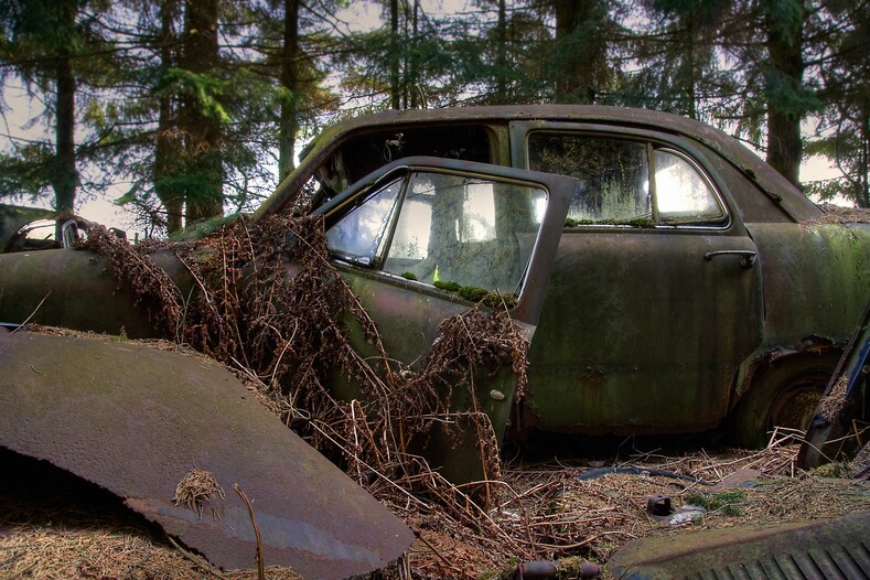 Фото: в лесу нашли заброшенное кладбище автомобилей (место, которое может не на шутку испугать)