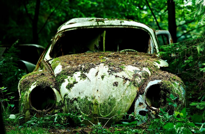 Фото: в лесу нашли заброшенное кладбище автомобилей (место, которое может не на шутку испугать)